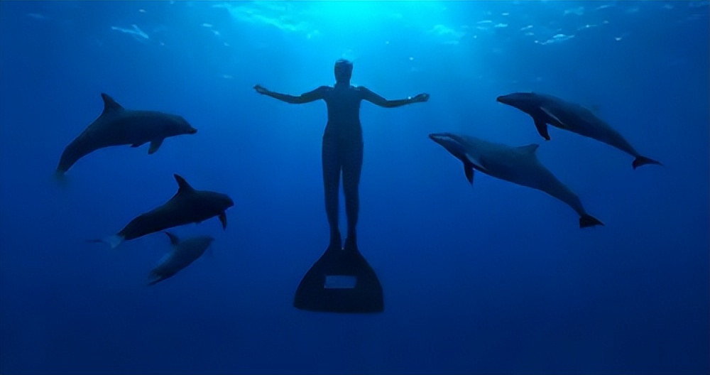 日本海豚湾捕鲸时的照片,日本捕鲸纪录片海豚湾