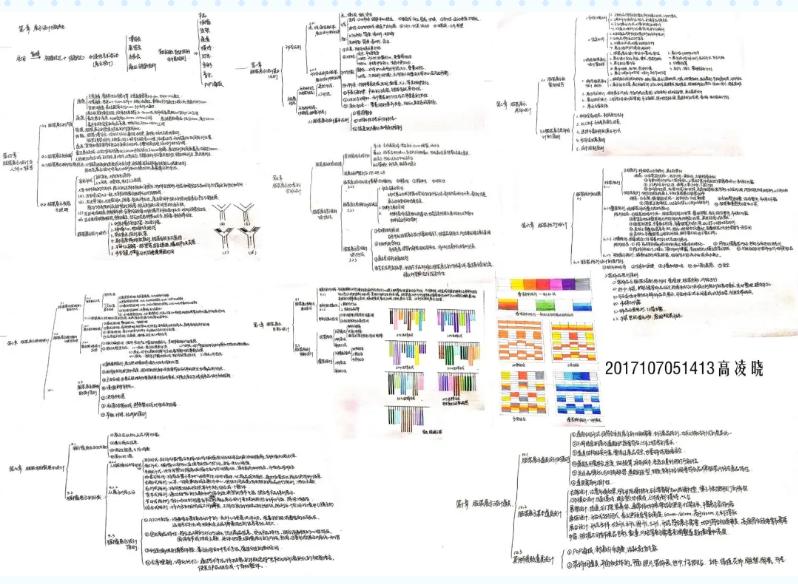 学霸笔记黄冈好吗,学霸笔记黄冈电子版