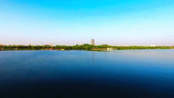 西安周边绿色森林在哪,西安免费森林公园最好玩的地方