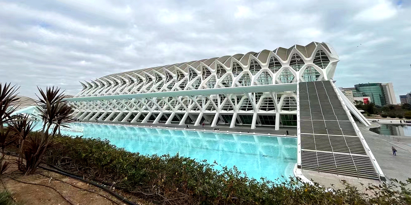 彩色旅图·西欧纪行｜瓦伦西亚的情人节，小贩在饭店外面卖鲜花