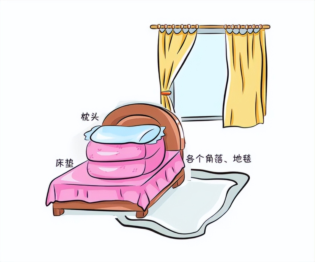 阴雨天怎么除螨虫,下雨天怎么杀死床单的螨虫