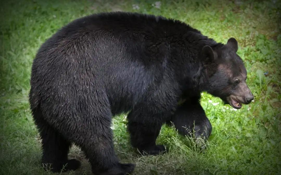 我的苦乐人生——下乡九年的蹉跎岁月