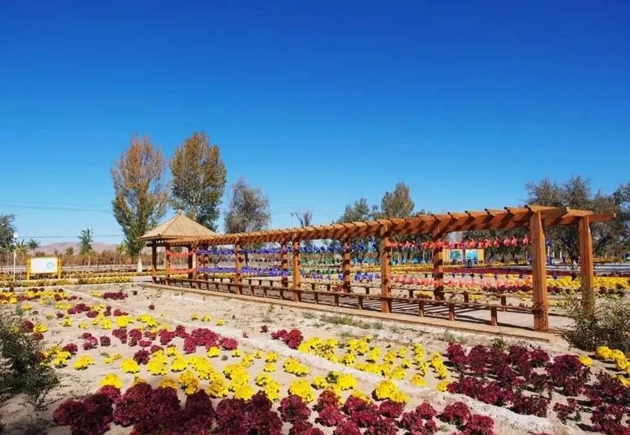 今非昔比下一句怎么说呢,今非昔比翻译