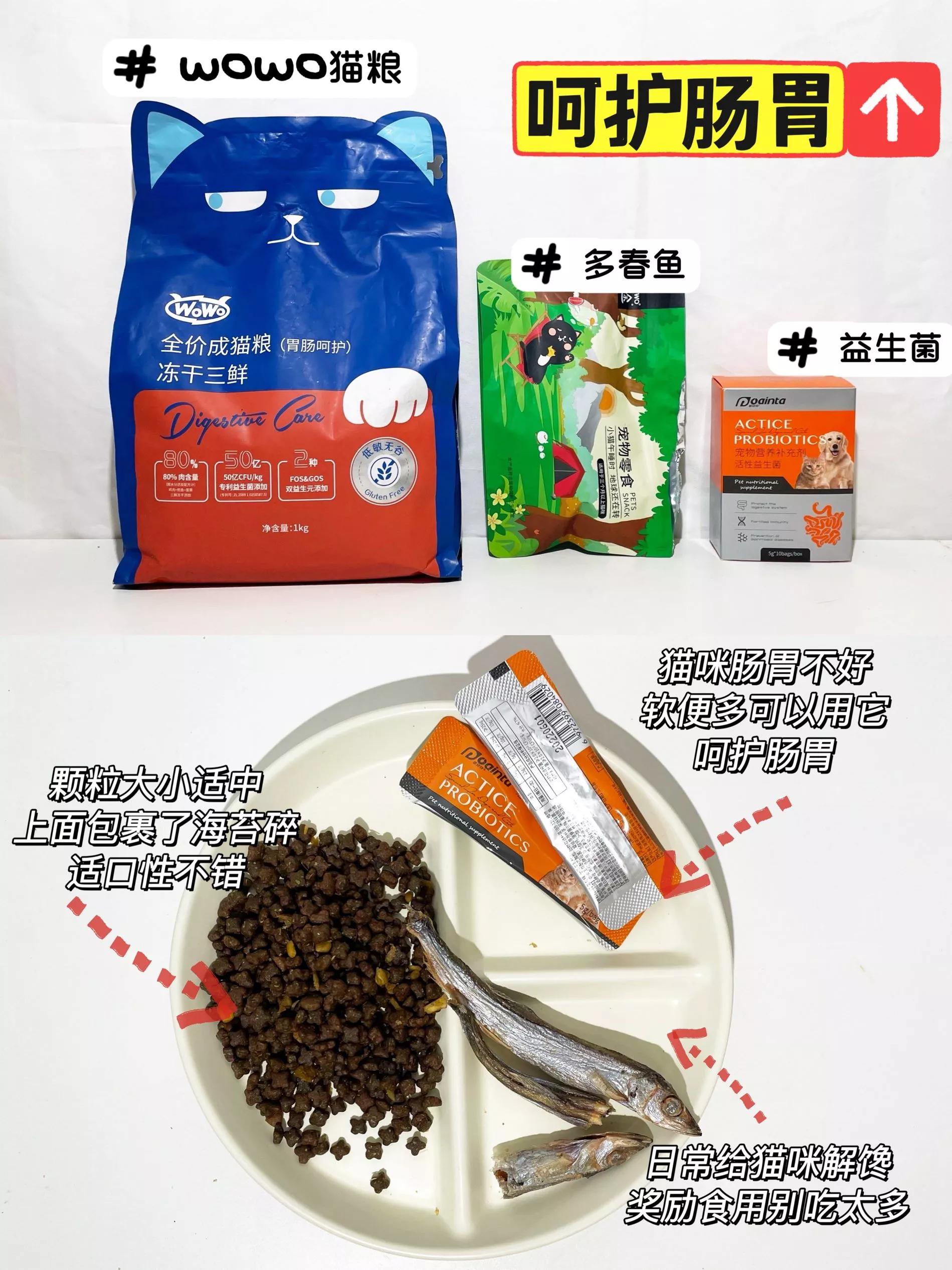 大脸猫最好吃的做法,如何养出大肥猫