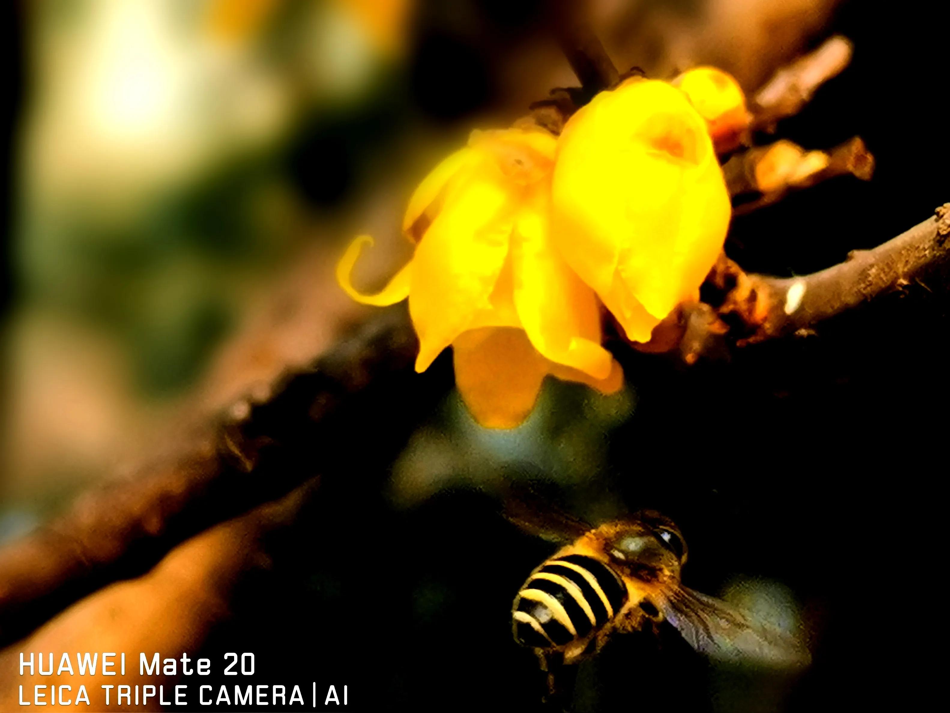 春节随笔高中800字,写春节的随笔50字