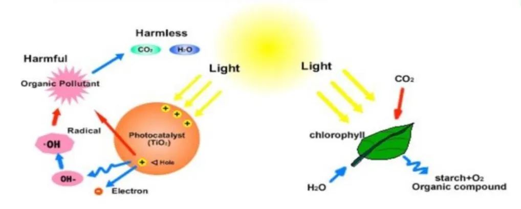 良好的室内空气品质,无死角净化室内空气