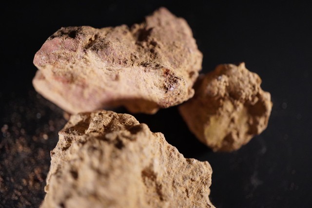 中药学敛肺涩肠药的功效,收涩效果最好的中药