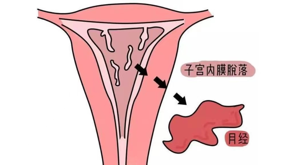 为什么有些女生一碰爱情就心乱,有的女人一碰就笑这是什么原因