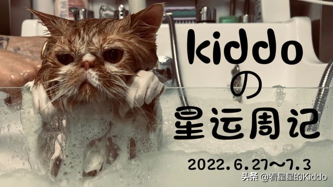 kiddo星运周记2021,kiddo星运周记完整版