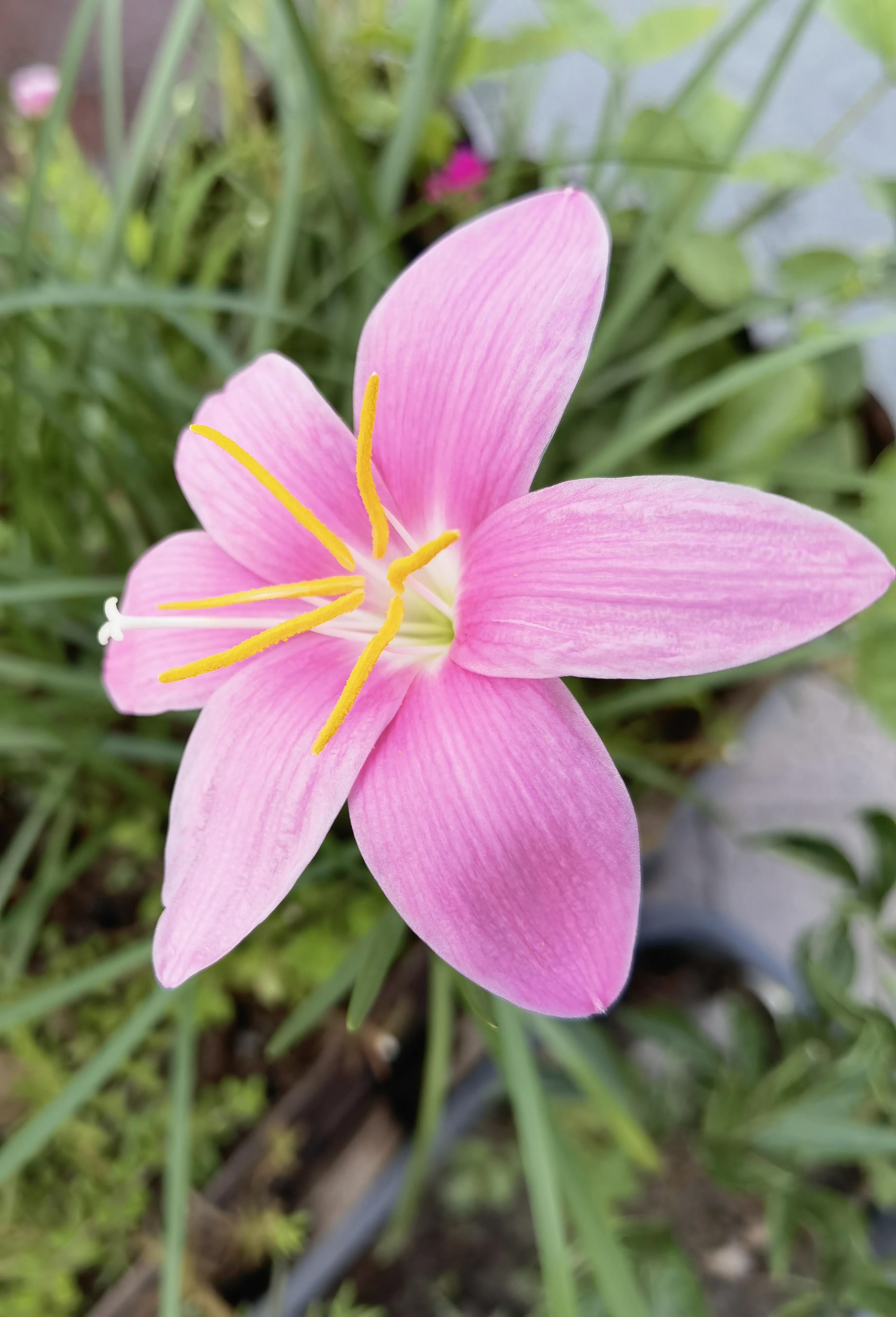 结石的痛苦有谁懂,结石的痛怎么缓解