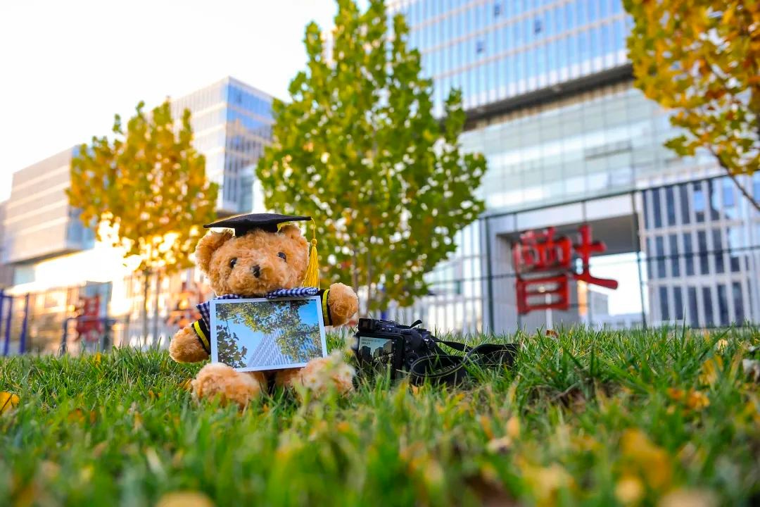 这个专业连续五年受追捧,这个专业有什么发展前景