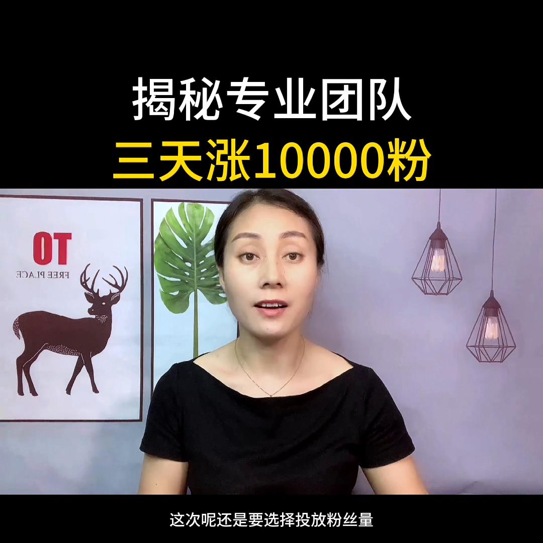 自媒体挑战涨粉过万,新人自媒体涨粉