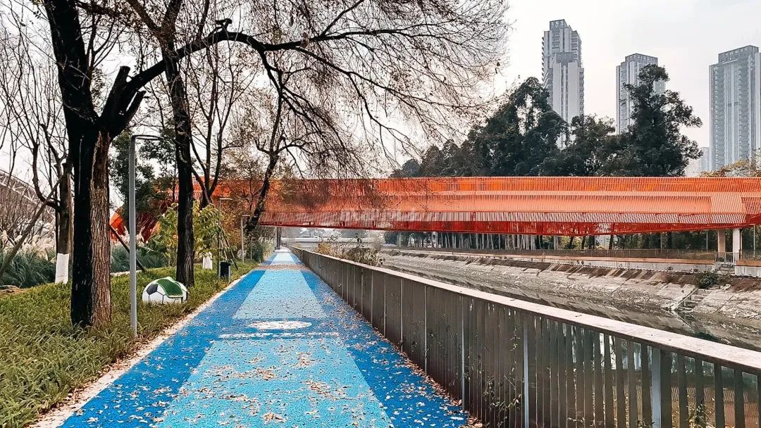 成都成华体育公园,成都成华区体育公园