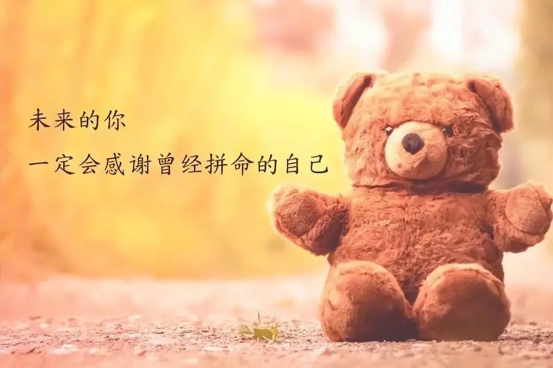 乙木命2023年癸卯年运势怎样,农历2023年癸卯年正月结婚吉日