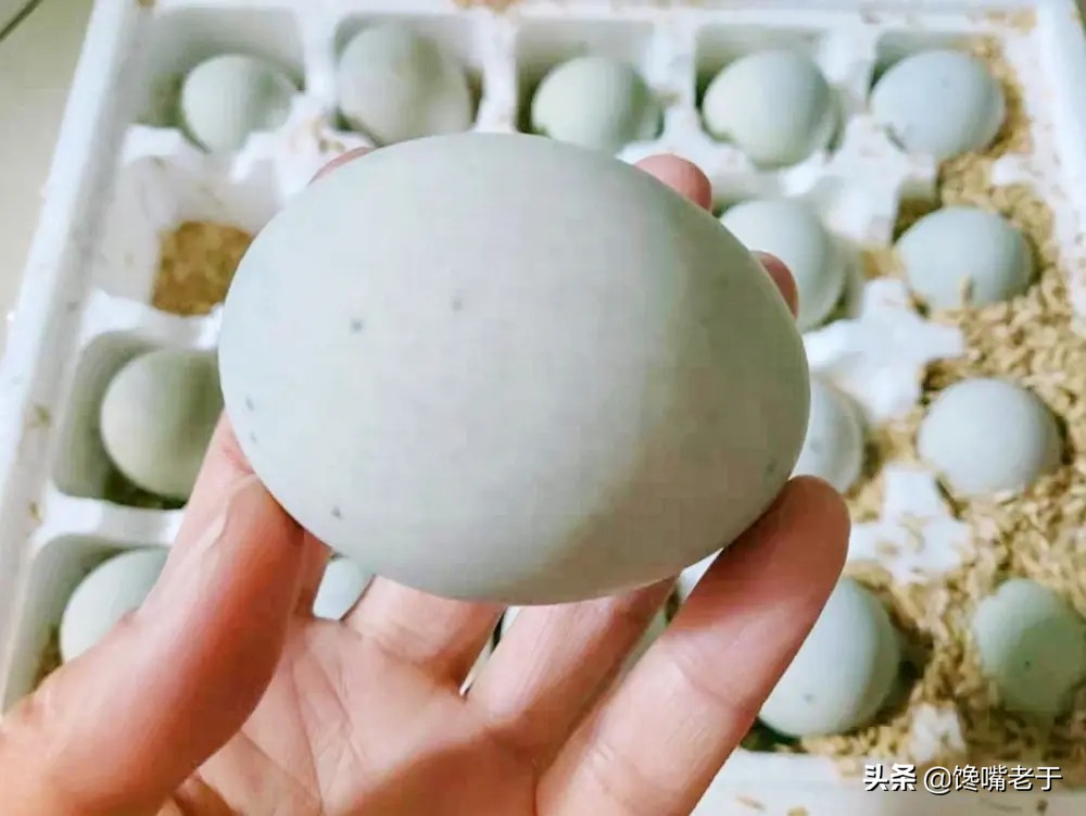 刚买回来的皮蛋还要煮吗,皮蛋蛋清部分化了能吃吗