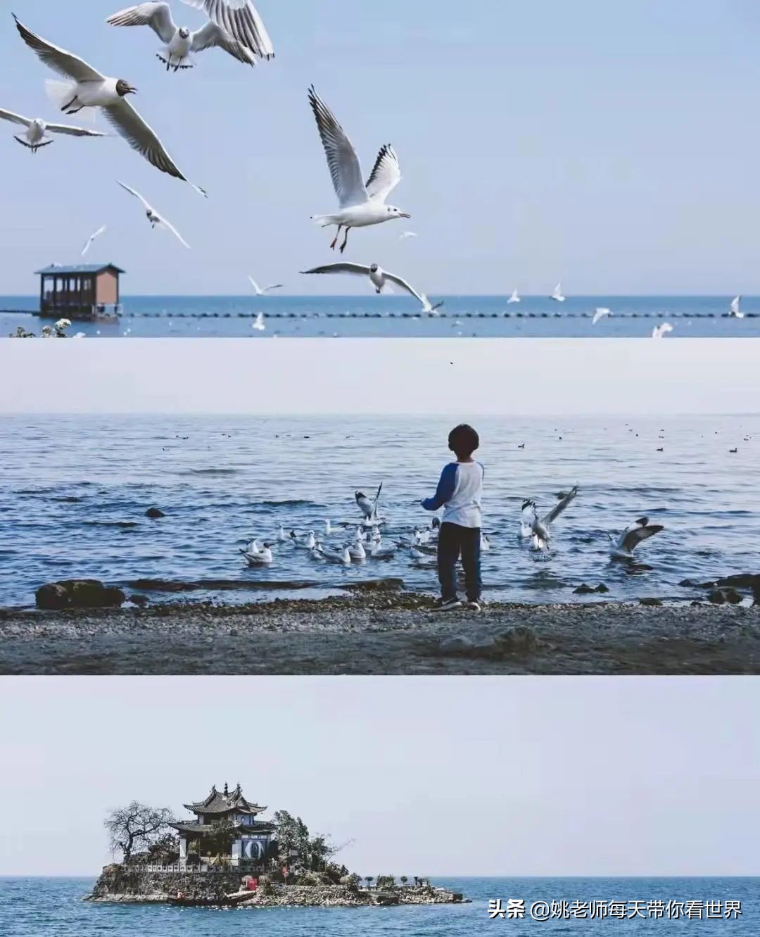 旅行云南团购,旅行云南推荐