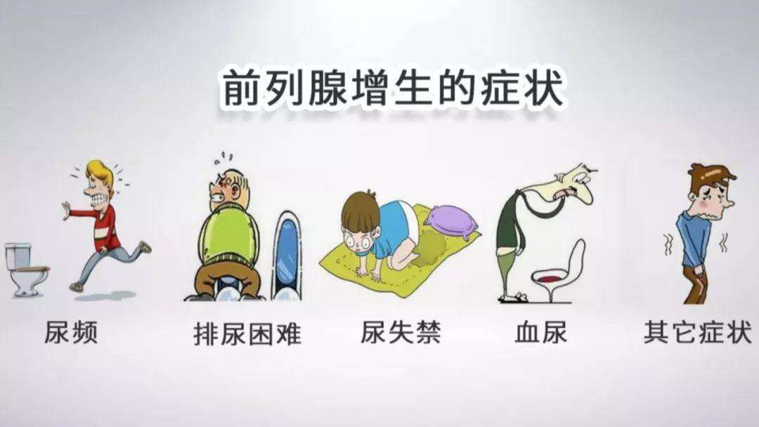 保卫前列腺三味药,用好一味药就能缓解前列腺炎