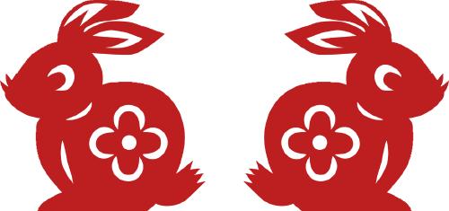 你知道兔子吃西瓜吗,你知道小兔兔吃的是什么吗