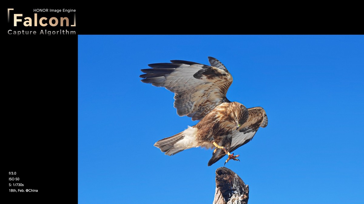 荣耀全新旗舰Magic5系列手机全球正式发布,售价899欧元起