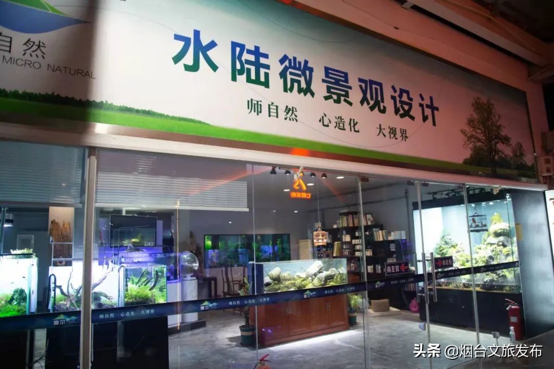 烟台祥和花鸟市场,烟台花鸟市场