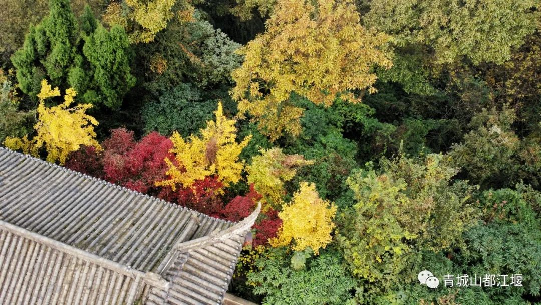 立冬气温仅13℃!快来领取都江堰专属的『入冬四件套』,品围炉暖食、享竹林温泉......成都1.5h直达~