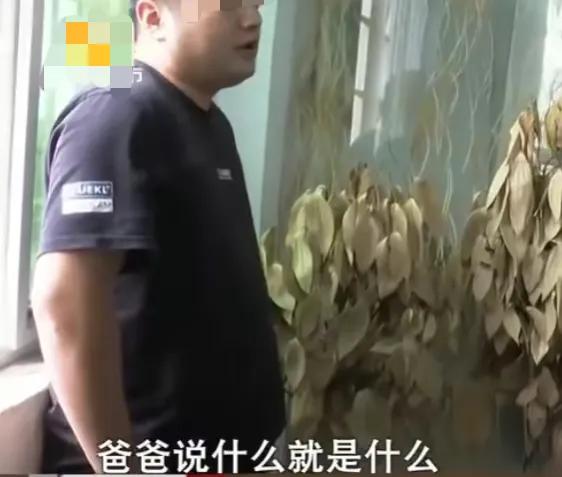 莆田医院的丈夫，给保姆8套房，妻子抗议，儿子：闭嘴，少管闲事