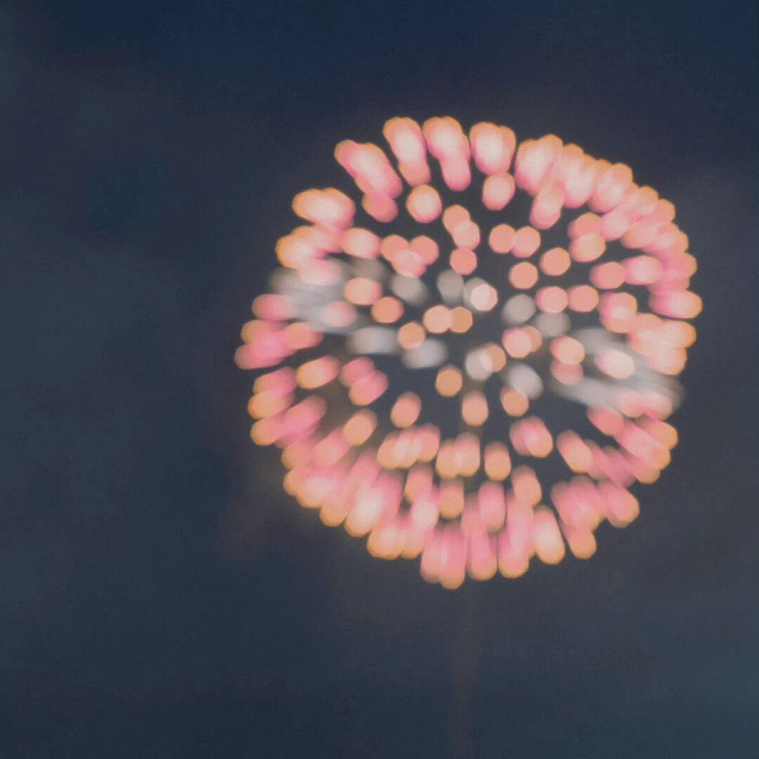 白天的房子夜晚的房子全文解析,白天的房子夜晚的房子书评