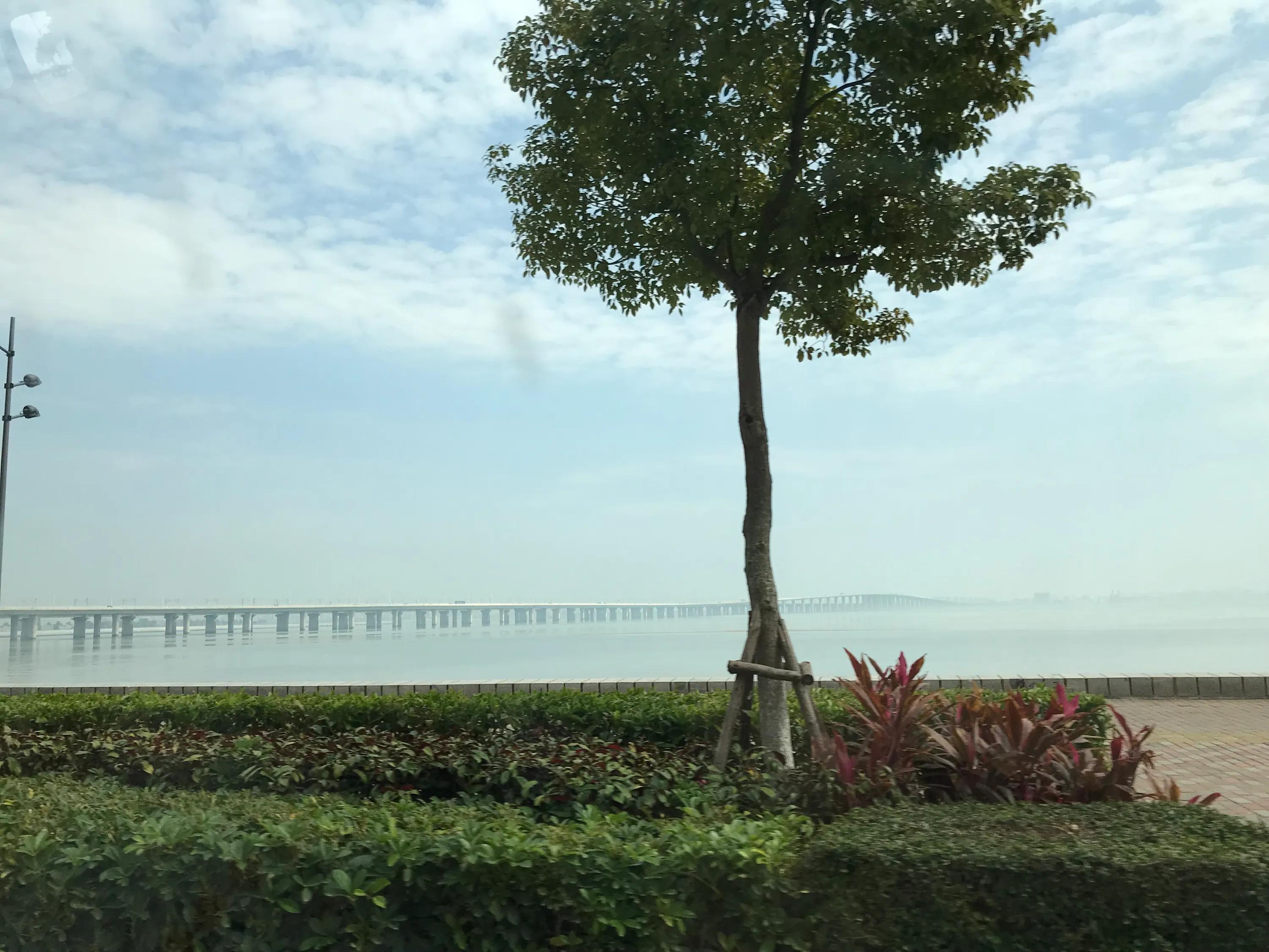 喧闹任其喧闹，自由我自为之，我自风情万种，以世无争