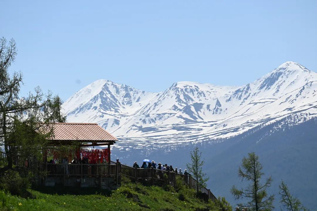 罚息复利司法解读,利息的罚息及复利计算是否合法