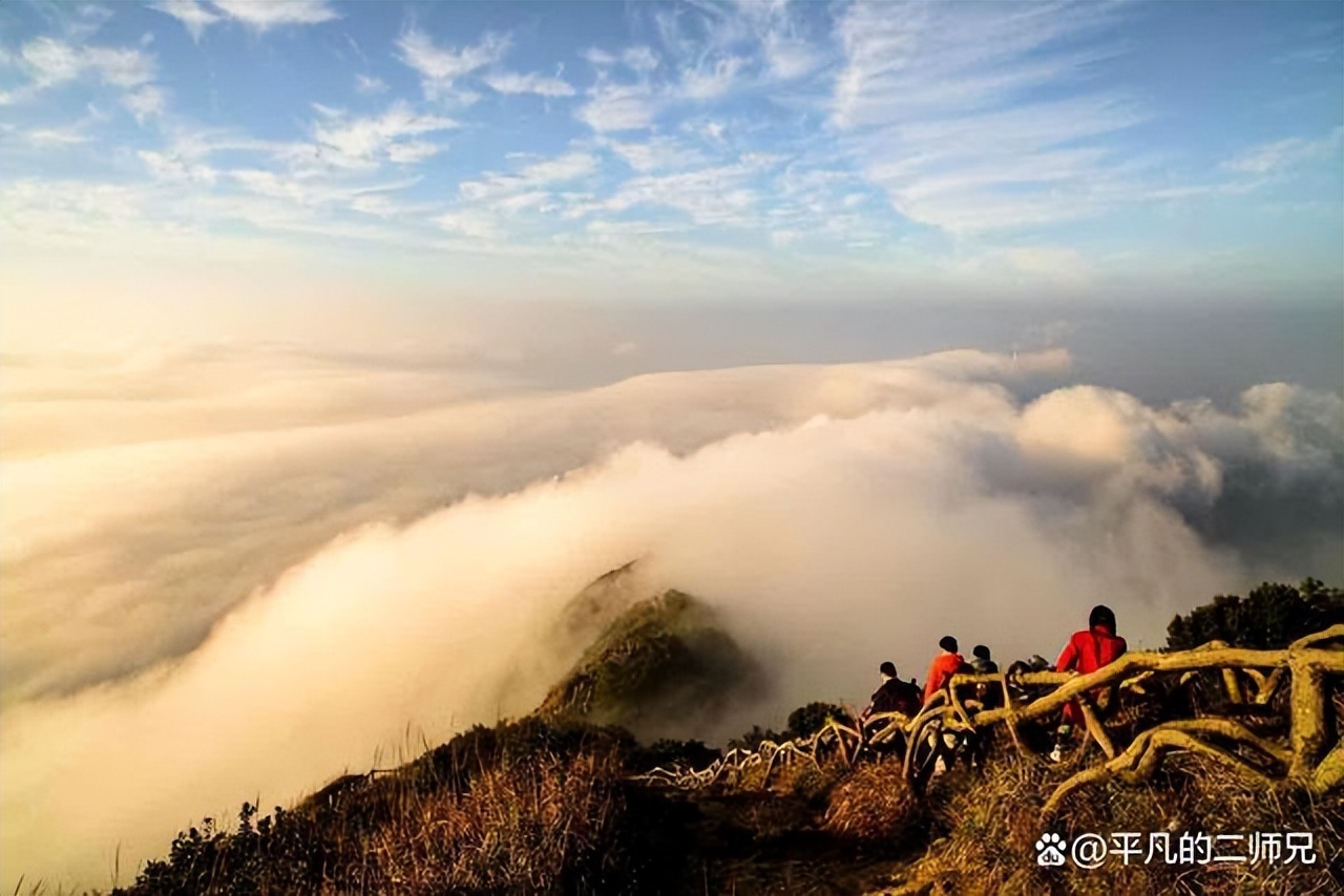 深圳平湖周边哪里有好玩的地方,深圳十大必去的地方免费景点推荐