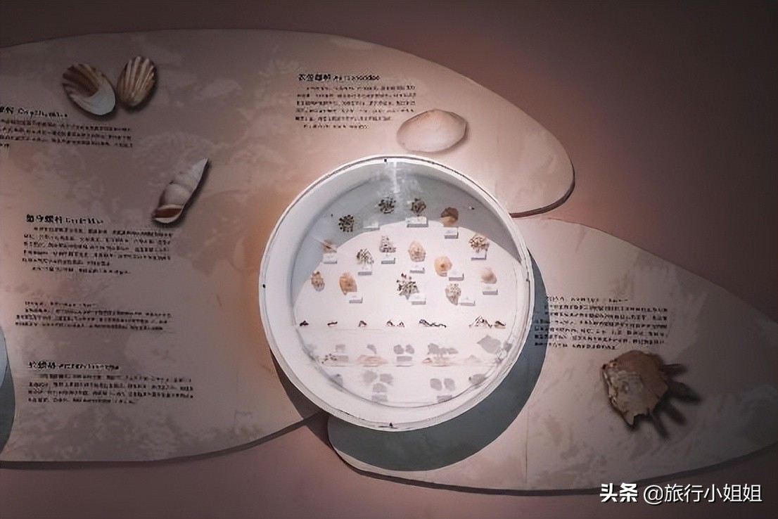 夏日海边微醺氛围感,滨城风光秀丽浪漫气息爆表