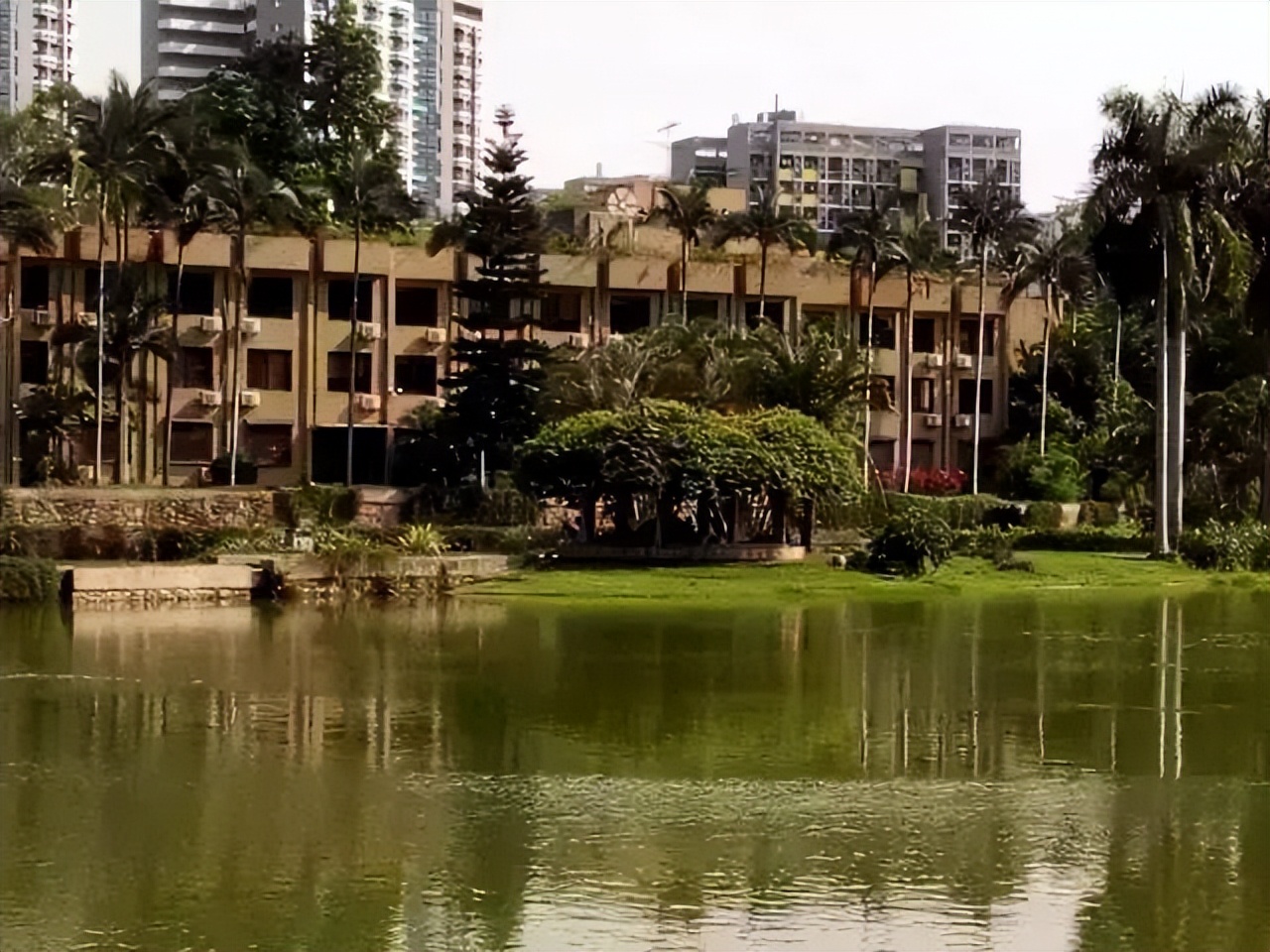 深圳大学2024年艺考,深圳大学2024年艺考招生简章