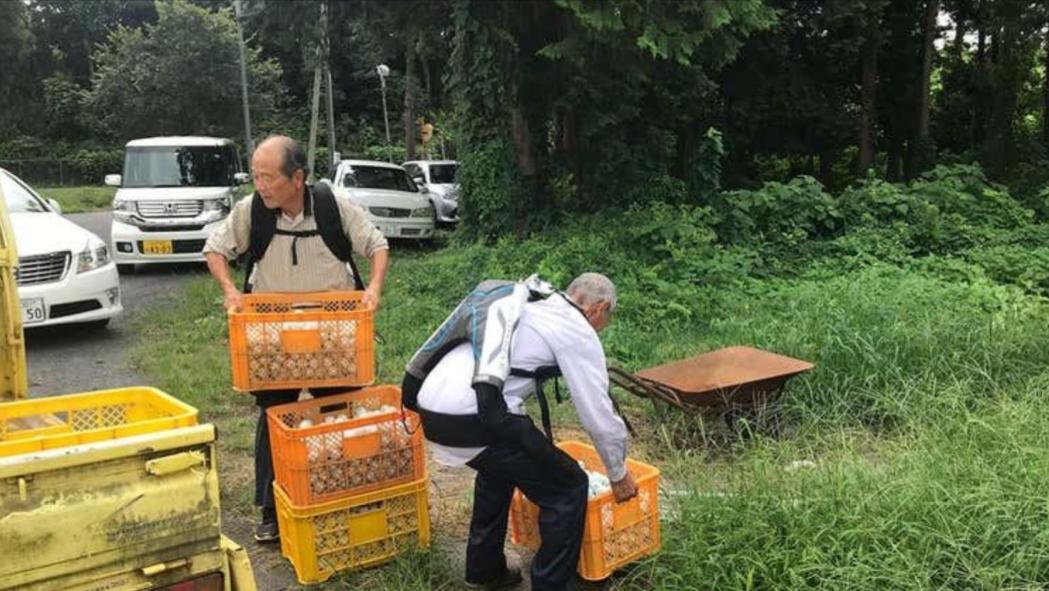 日本色情行业挤满了70岁老人,社会老龄就业问题,值得中国警示