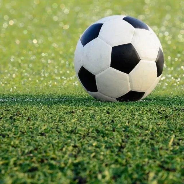 五大联赛13-14赛季,五大联赛13号比分