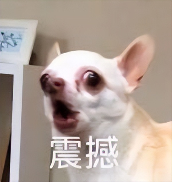 能装下三室一厅的瑜伽裤,三室一厅的瑜伽裤