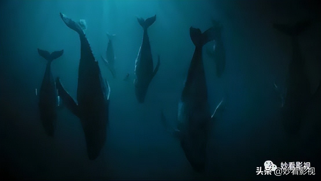 三月份值得去看的电影,三月你不可错过的电影