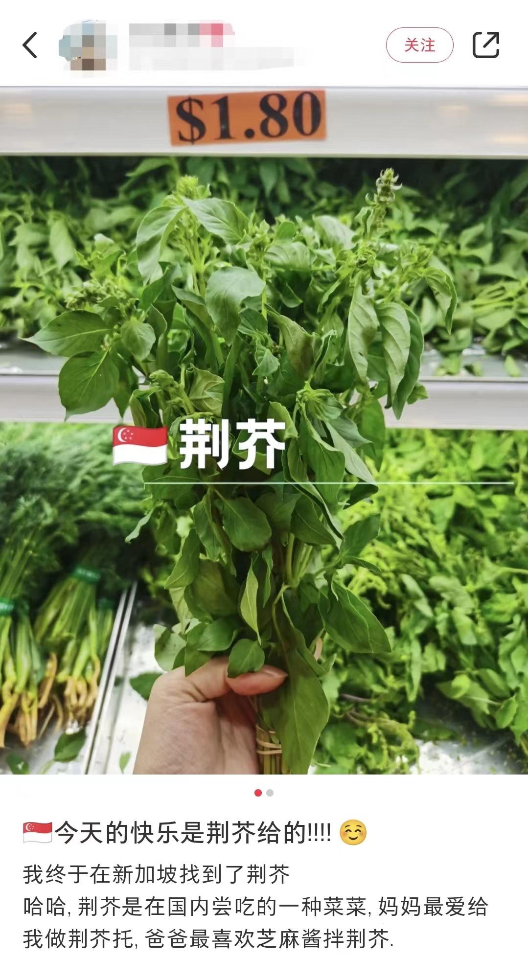 这款河南限定，外地人看了都上头