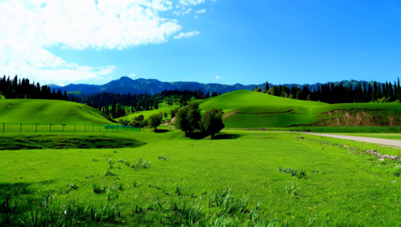 撒哈拉沙漠里有很多的沙子含义,撒哈拉沙漠到底有多深