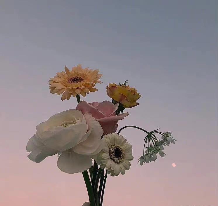 人的一生有时间和自己度过的,人最重要的是过好自己的日子