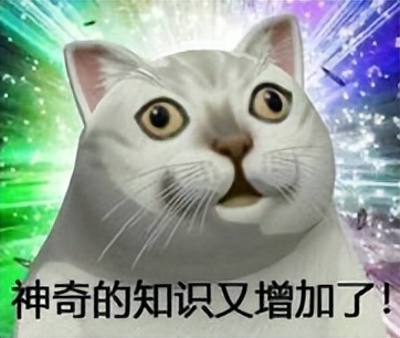 控油防汗防水透明散粉真实测评,防水防汗持久四色散粉好用吗