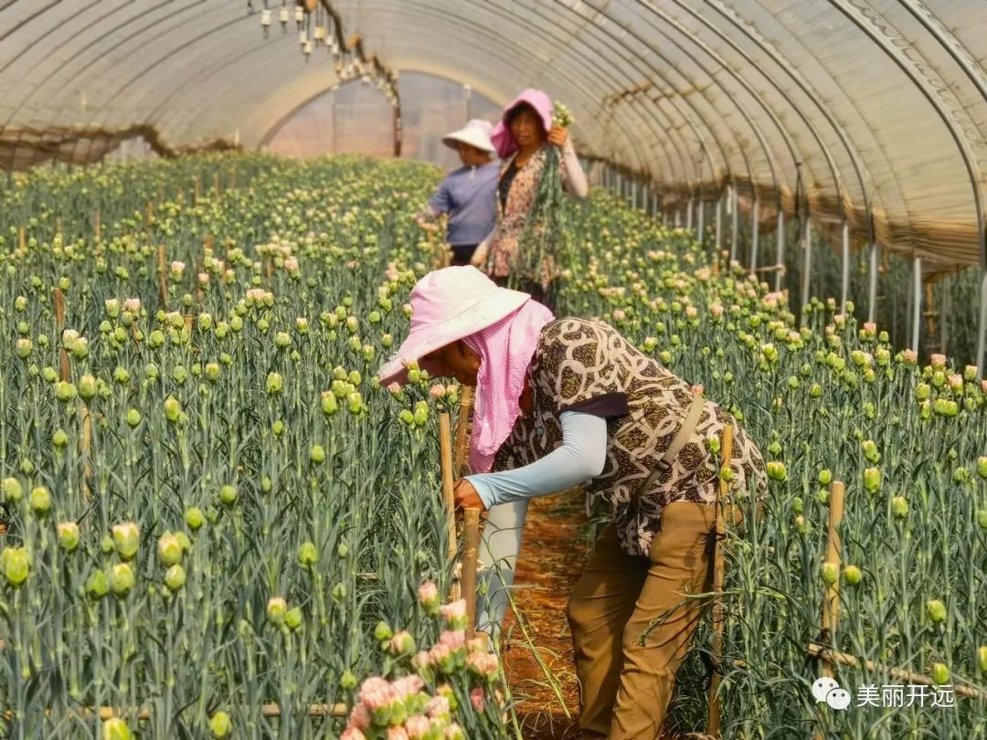 3年6000亿美元,3年赚60万什么水平