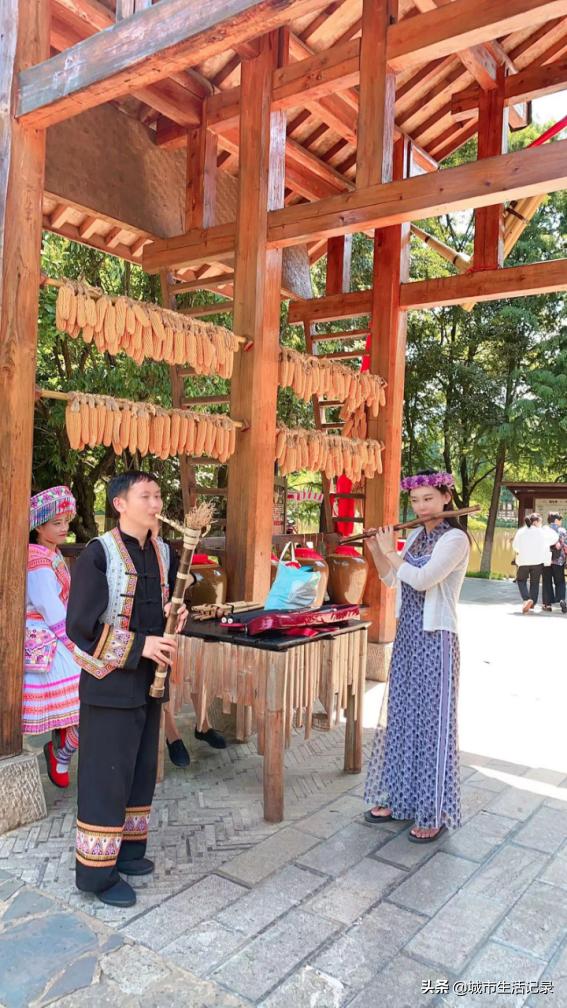 直播间女博后,女博后民族乐器主播