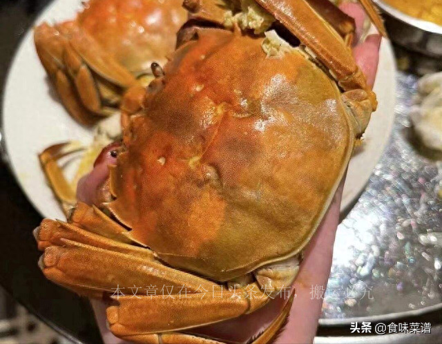 中国哪里大闸蟹最好,全国最好的大闸蟹排行榜第一名