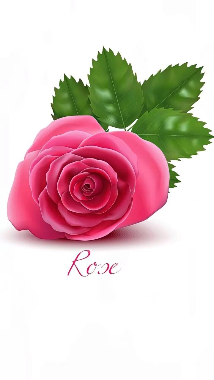 上班励志高清壁纸4k全屏电脑壁纸,黑鲨壁纸动态壁纸高清全屏90帧