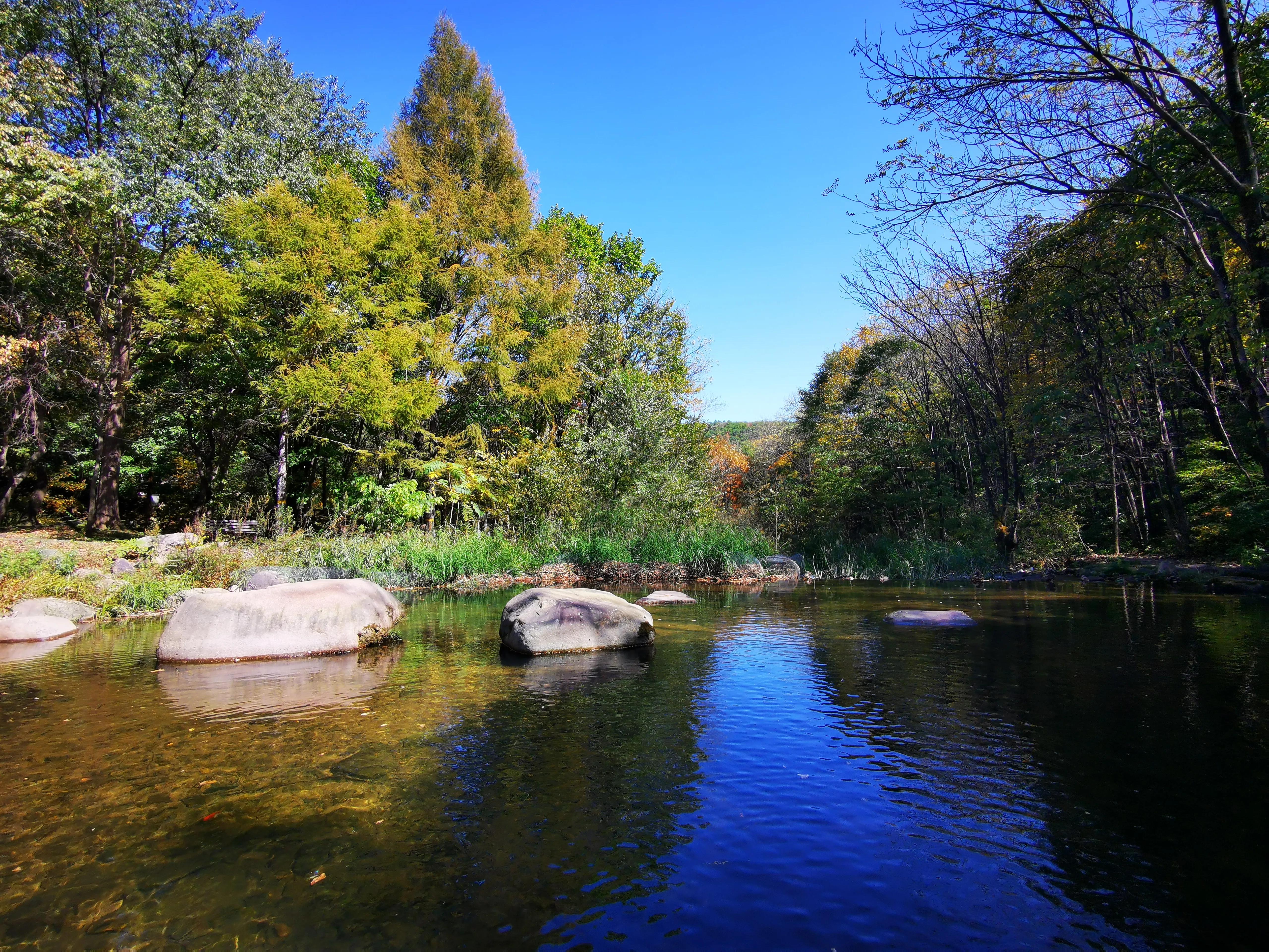 抚顺猴石国家森林公园有啥玩的,4月份抚顺猴石国家森林公园