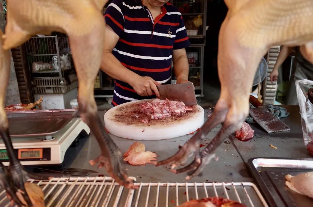 终于炒出了两锅会说自贡话的兔儿