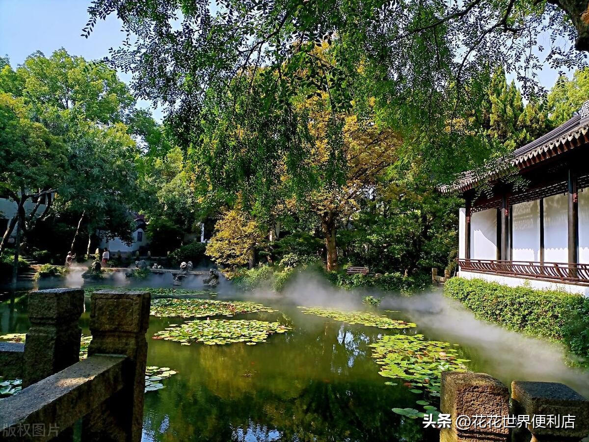 青浦城区和青浦新城板块有啥区别,上海五大新城青浦前景最好