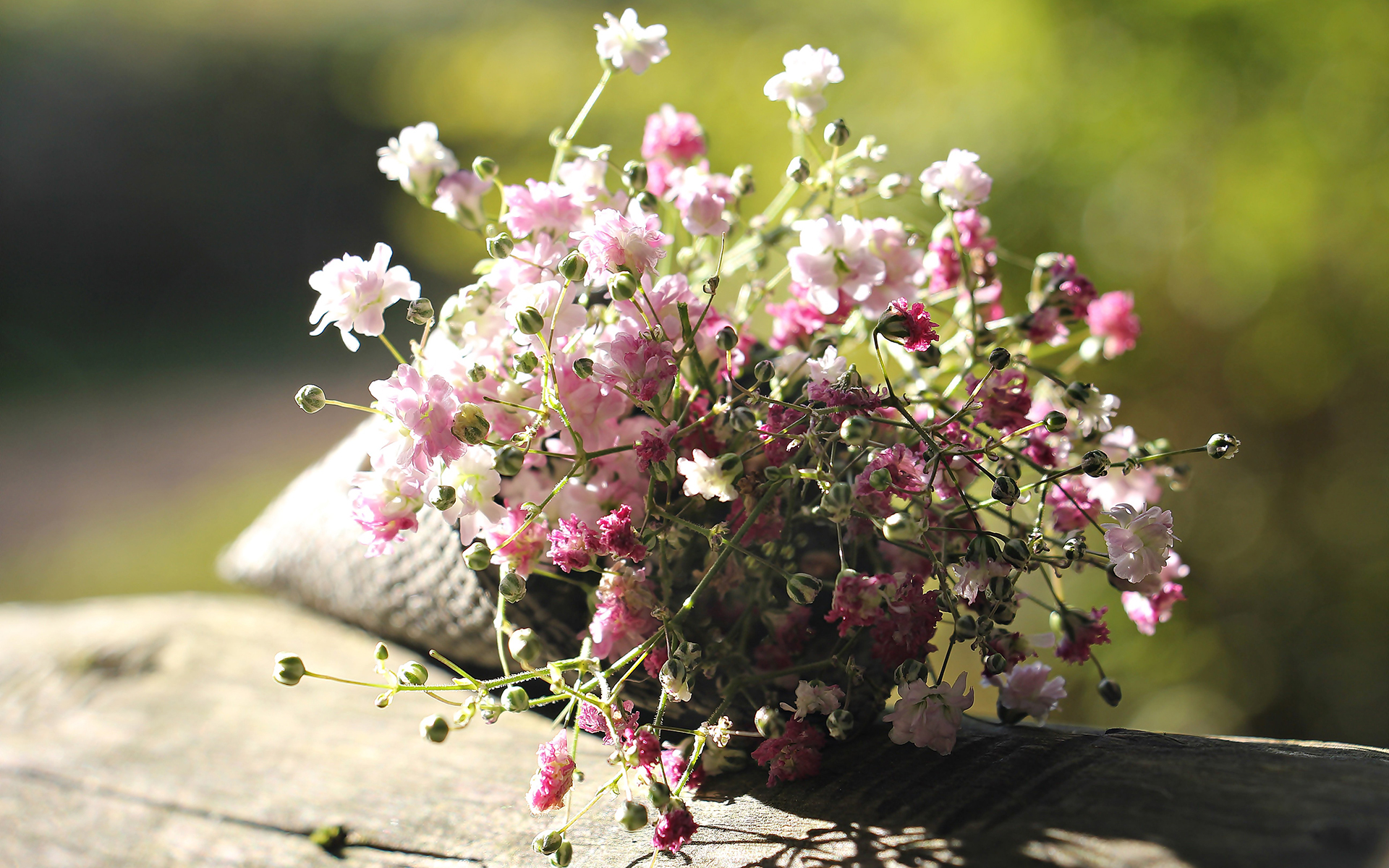 2022年摩羯座12月运势完整版,摩羯座十二月身体运势如何