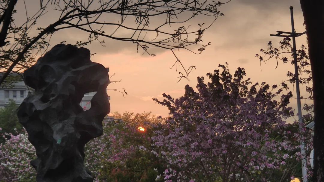 没钱没技能还可以学什么,没钱可以学的技能