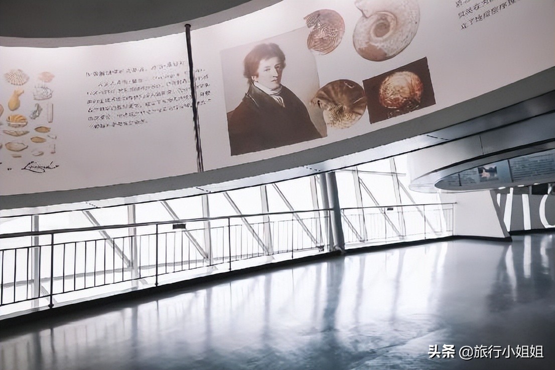 夏日海边浪漫迷人,滨城风光秀丽浪漫气息爆表